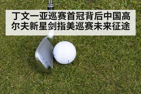 丁文一亚巡赛首冠背后中国高尔夫新星剑指美巡赛未来征途
